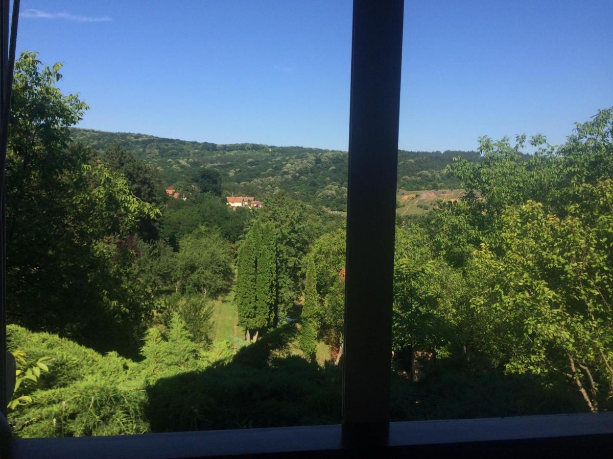 Holiday Home Nanin Konak 2 Vrdnik Exterior photo