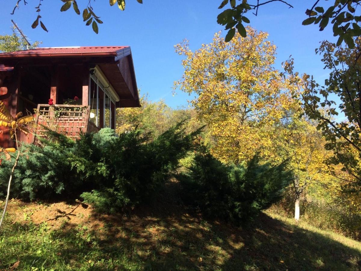 Holiday Home Nanin Konak 2 Vrdnik Exterior photo
