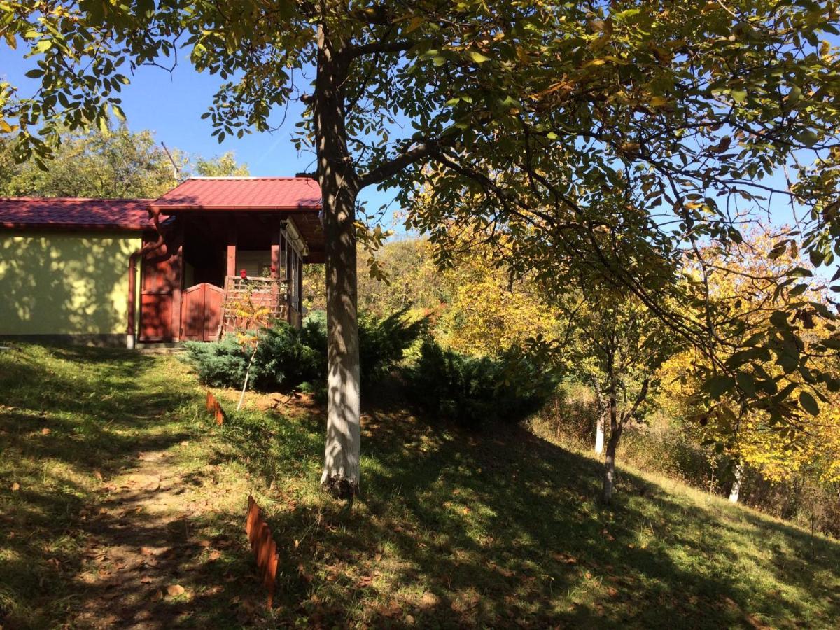 Holiday Home Nanin Konak 2 Vrdnik Exterior photo