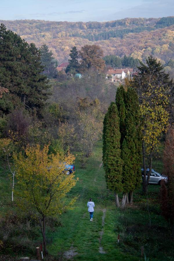 Holiday Home Nanin Konak 2 Vrdnik Exterior photo