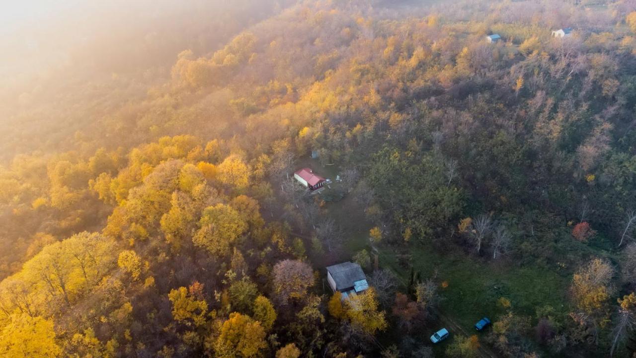 Holiday Home Nanin Konak 2 Vrdnik Exterior photo