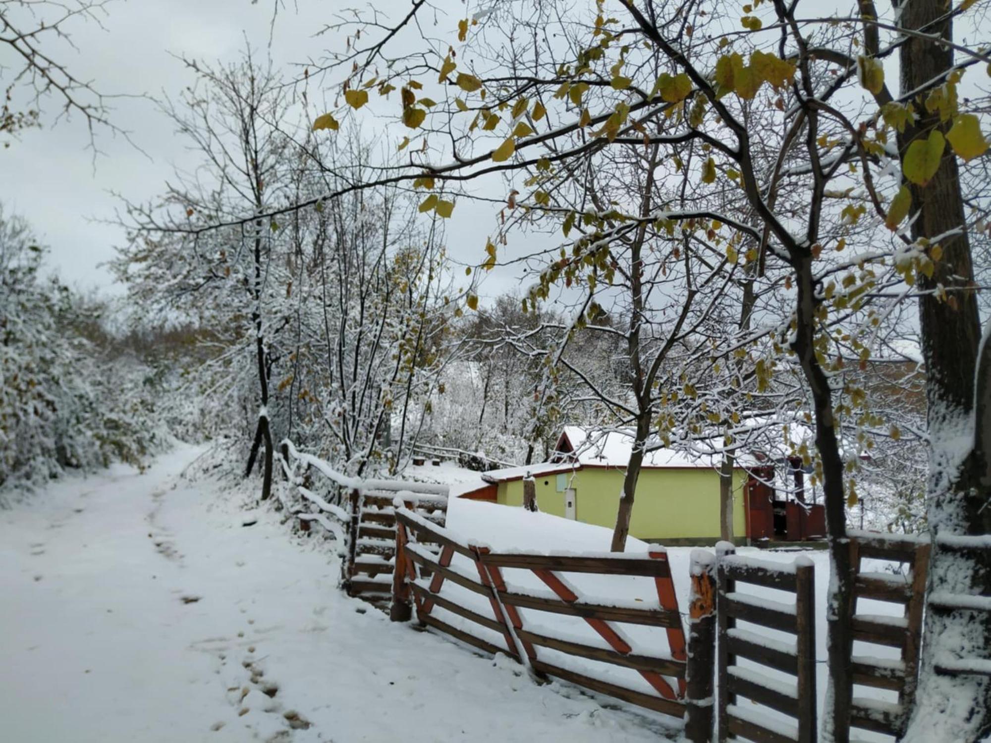 Holiday Home Nanin Konak 2 Vrdnik Exterior photo