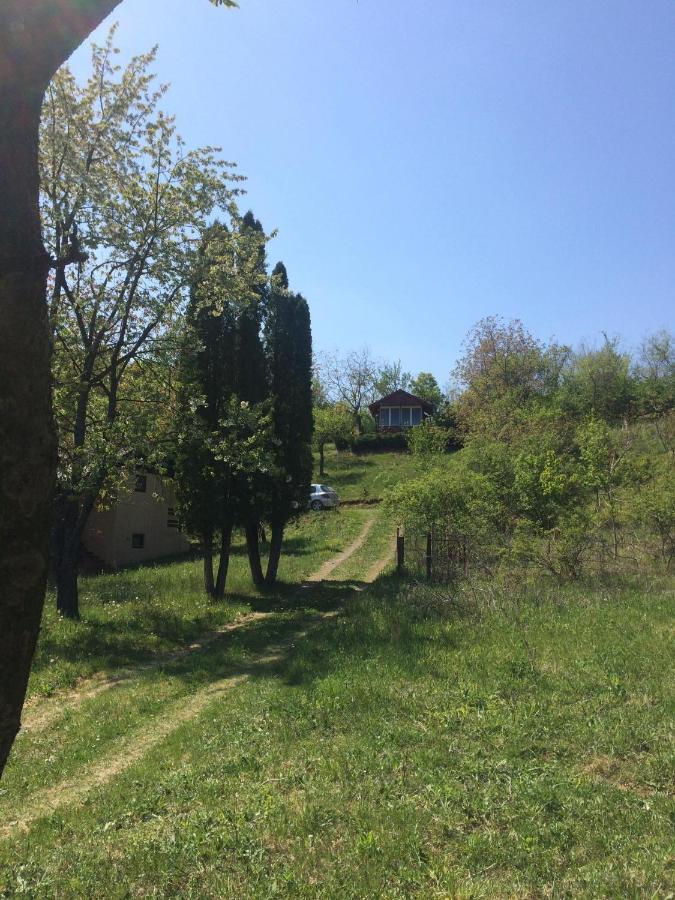 Holiday Home Nanin Konak 2 Vrdnik Exterior photo